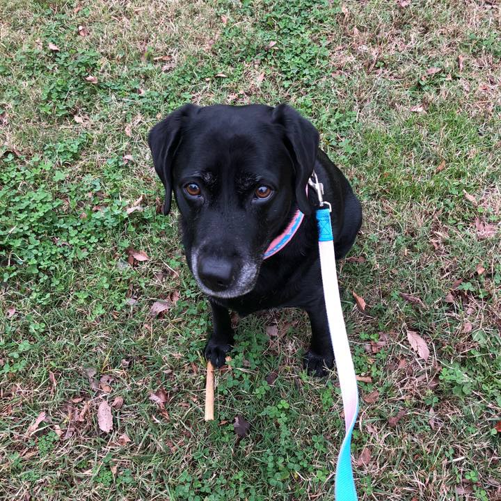 Db74a923 768f 44c3 86fe 1ba3e9f1fe9d 1542073558642