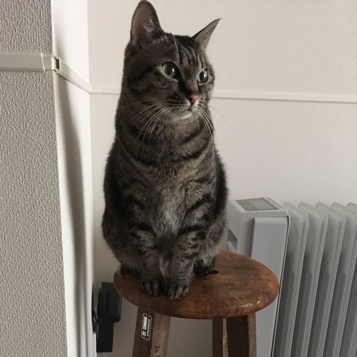 Db74ae42 6878 4625 83b4 205a1560a5ae 1582608554847