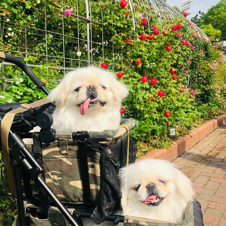 Db74d2ef abdd 4741 98e1 5d059ba7e0db 1620976254241