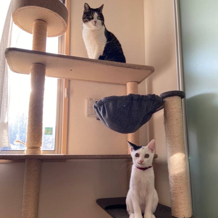 Db753f16 ea65 4c8a 9c3e 16e20238b34d 1664251975813