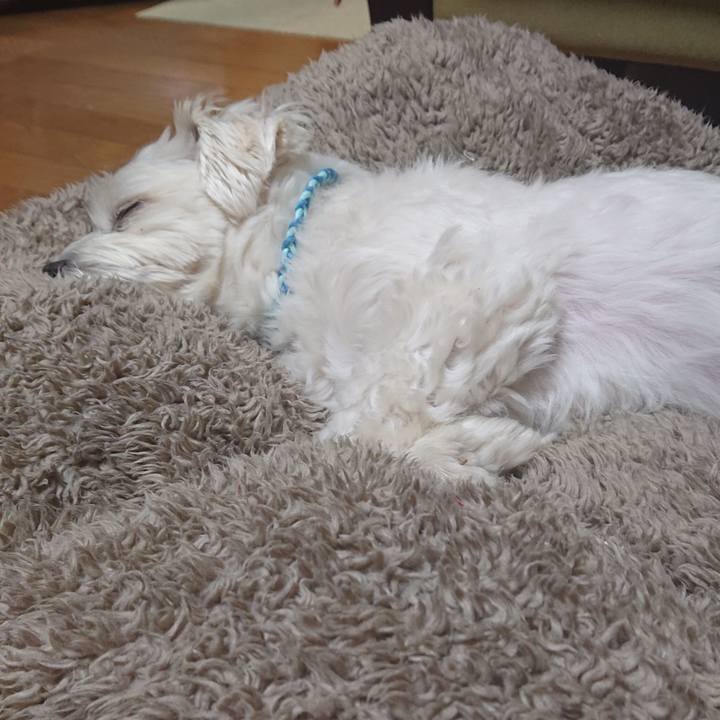 Db7545f4 e165 40ec 8322 92f1cde02537 1547902626366