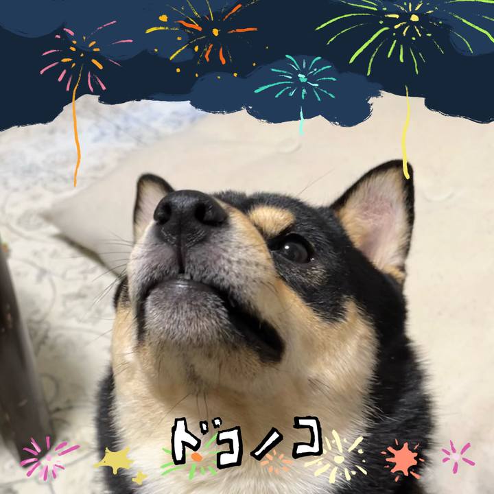 Db7561f7 ab61 4de6 91f2 65f283fd0a9a 1723264916420