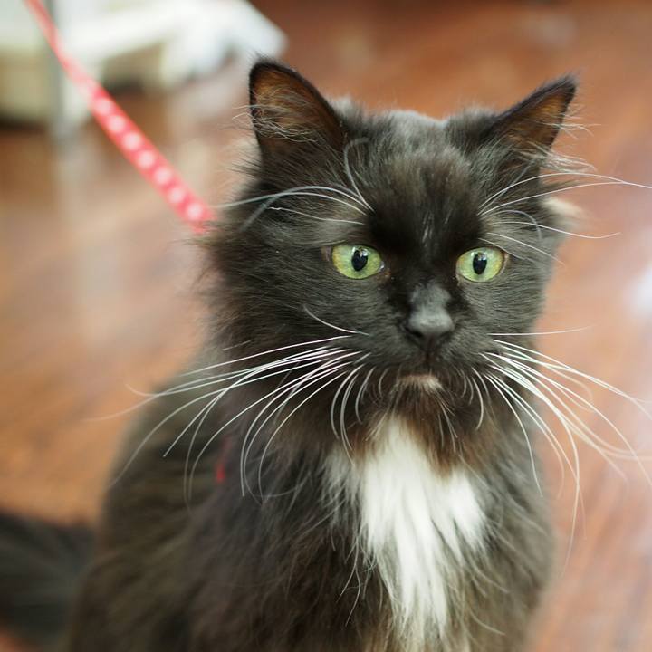 Db7569f3 a3aa 444a b3d4 9dda31b28590 1529329226391