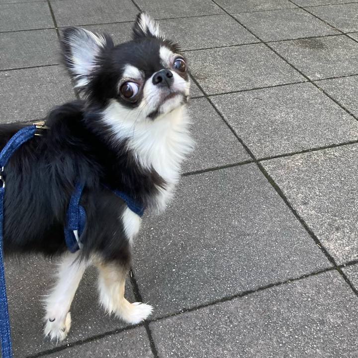 Db757098 7f3c 411d a072 7f2c22bfcc65 1620447097695