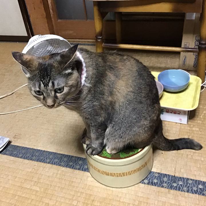 Db7584d7 0750 4742 bbad f4a083a0a334 1692014408337