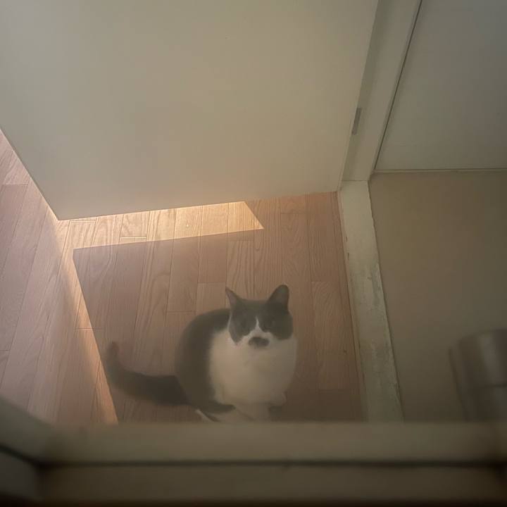 Db759ce0 da87 4dac 8291 3b82e0c17eaf 1709966408278