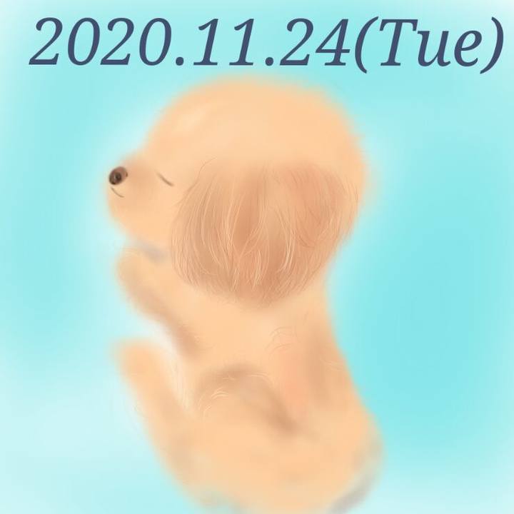 Db75be01 1921 4496 ba2b 7c95be10ed4d 1606221218430