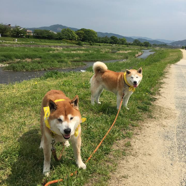 Db75ed4f 39ea 412e a0c7 6402c94a11e9 1525073576773