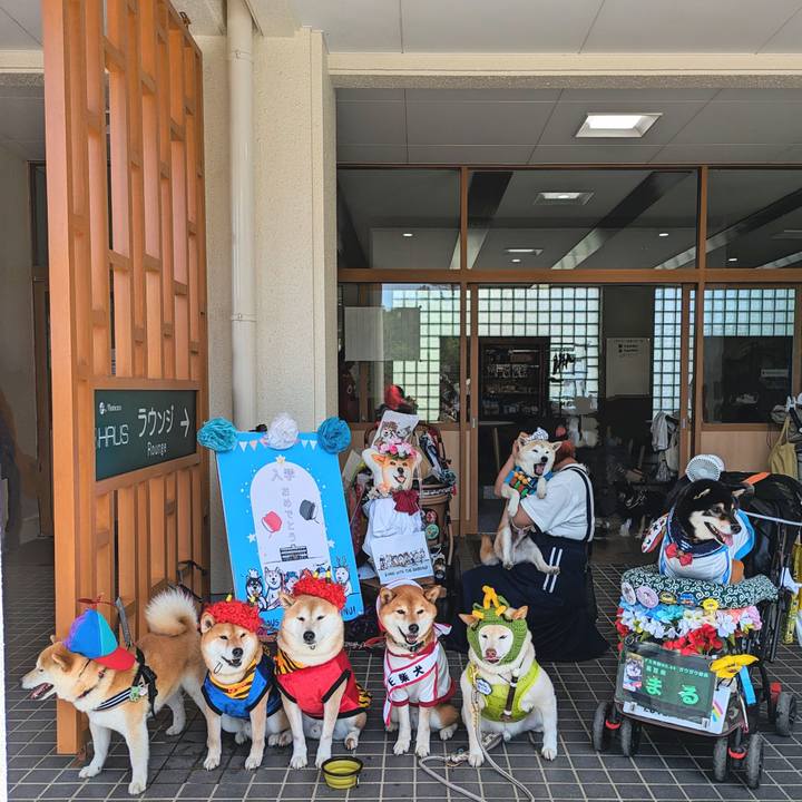 Db764acd 6840 4a43 853e c0df2989fac7 1714366436242