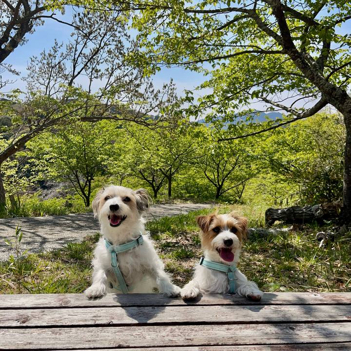 Db7653f7 272c 42be a2bb 752a5453012b 1774354695329