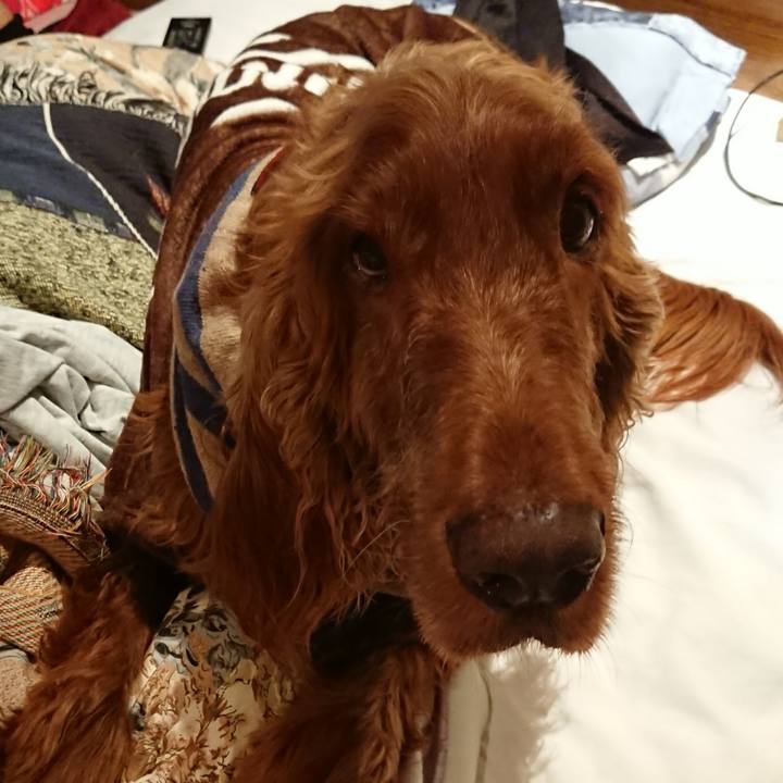 Db768e28 8412 4b06 b7f6 6b9c837355cf 1585106154163