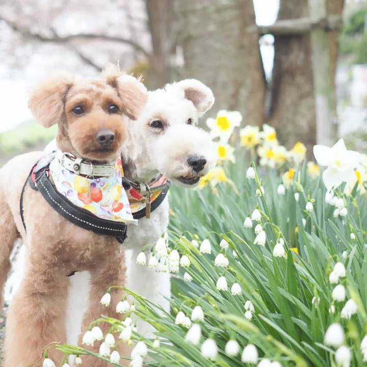 Db76b758 fb09 4241 a5bc f8f98b7b46b2 1617662119634