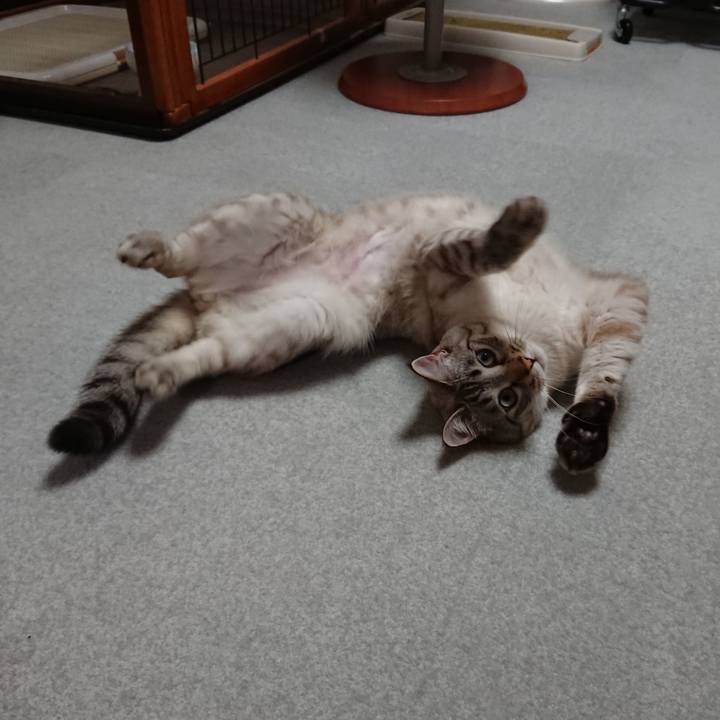 Db76f9b0 a676 40d7 b8a4 53eda53f27df 1522149642915