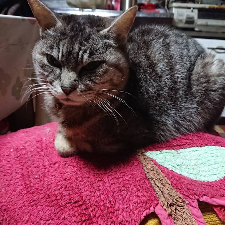 Db773197 3cad 4c5e 8938 c3ecc75d5cfc 1555619034224