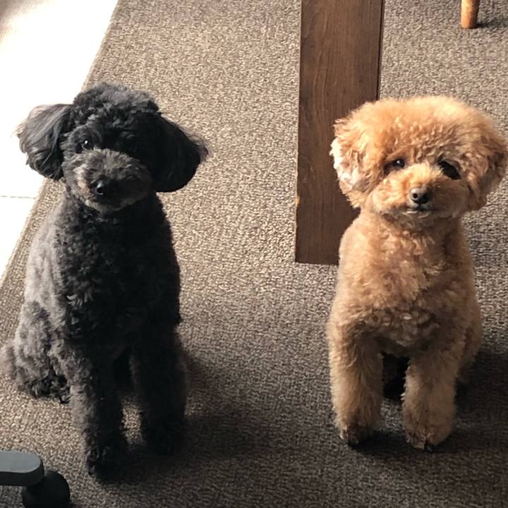 Db77a51b 3e5b 4024 874d 06b892d877dc 1610349211111