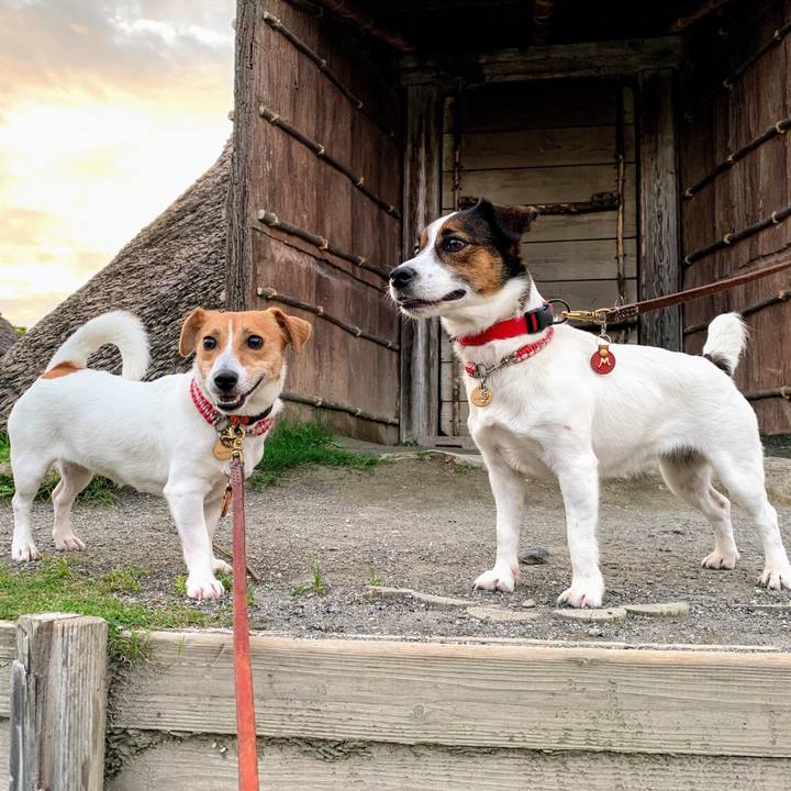 Db77e96f 8426 4ebc b61d 378be17ff13f 1562668508268