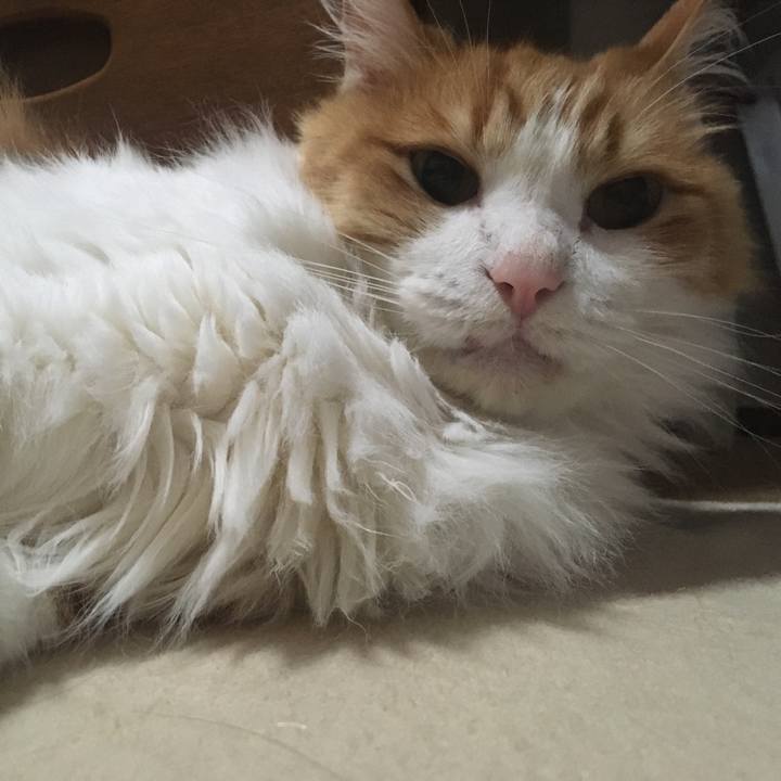 Db77ec31 5abb 40db 8355 91b14e0b6986 1624539119714