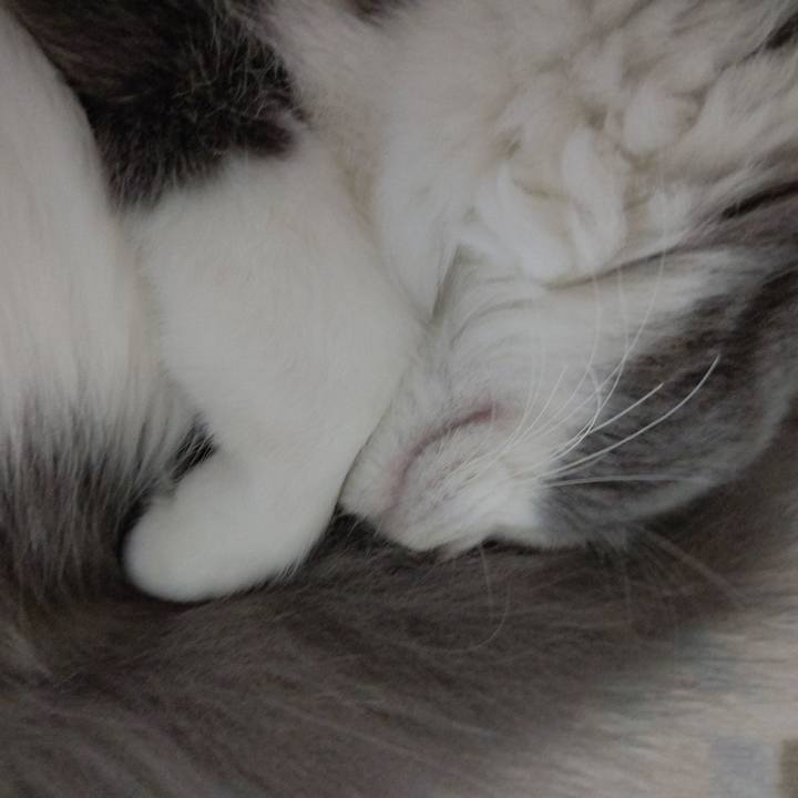 Db788e4e 913a 4117 b090 6210e22e0858 1571007306256