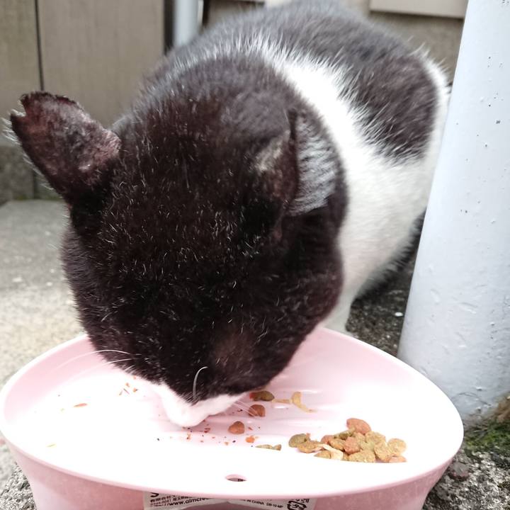 Db793290 5ec6 4c1f 8c01 c00e7730cec9 1630394849018