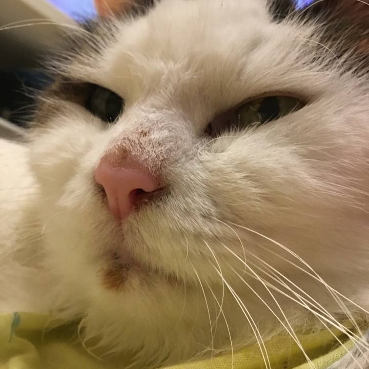 Db79373c cd95 4972 9150 1606c27226a3 1574297233321