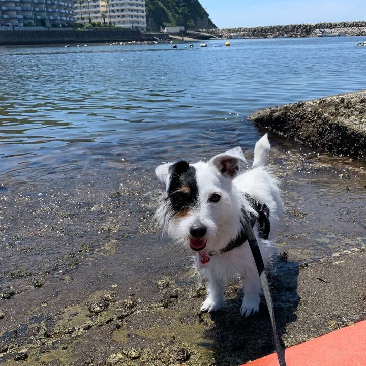 Db793ce6 f3fb 45e6 8901 b8703aecb62f 1686965339696