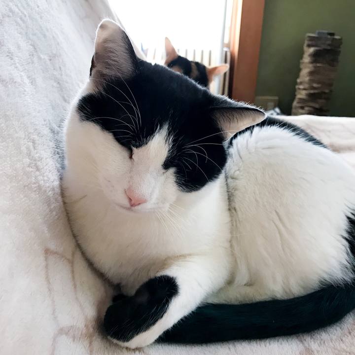 Db793f00 d643 446f a9f5 fe55e9de012a 1519606196402