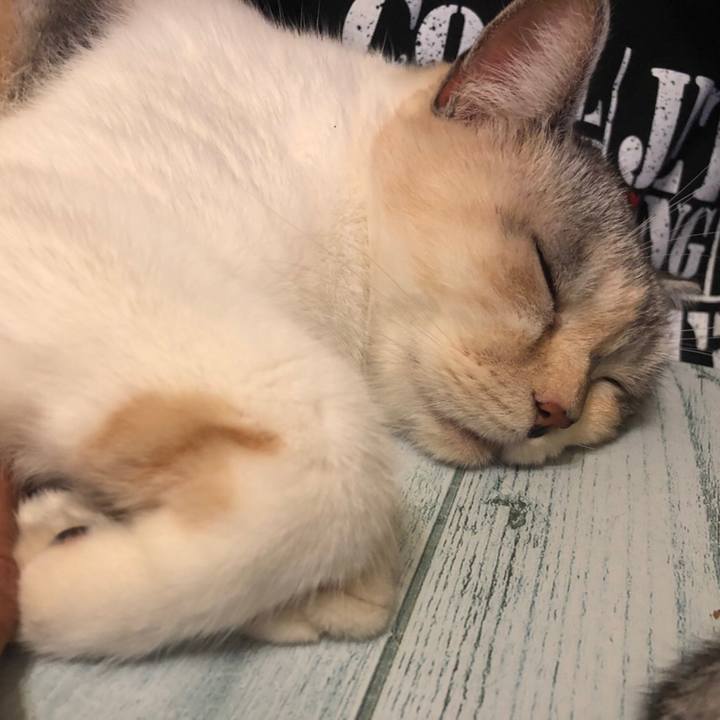 Db795aa2 b619 45ff a0b2 55b44f6a8e3f 1572005573726