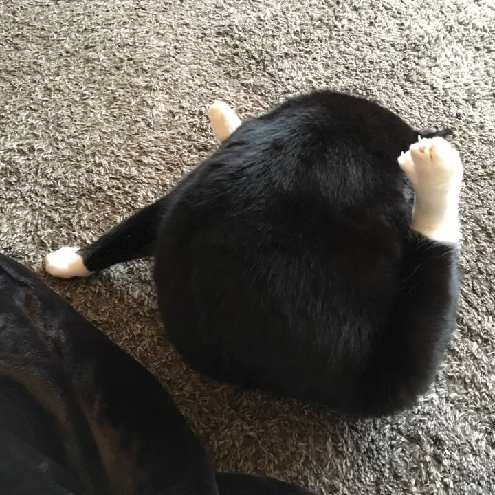 Db7968f5 fbaf 417e 81b2 90b0e2a0f77c 1521929750440