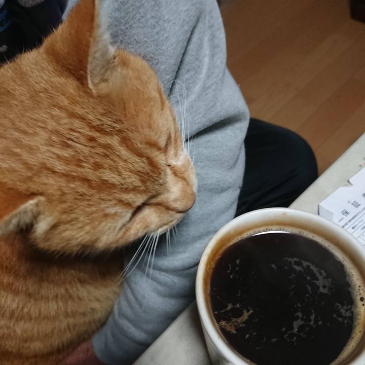 Db7970d3 5ed2 413c 8e4d 5d6c868b2ea6 1607888571348