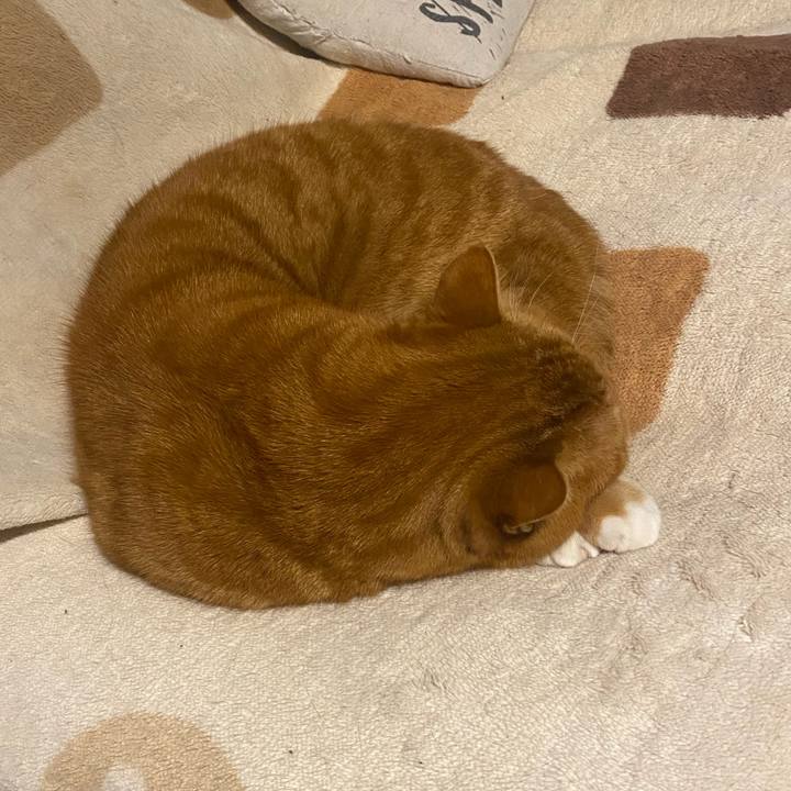 Db79a0ff 80a3 49e6 bfed d83f291da326 1678999627155