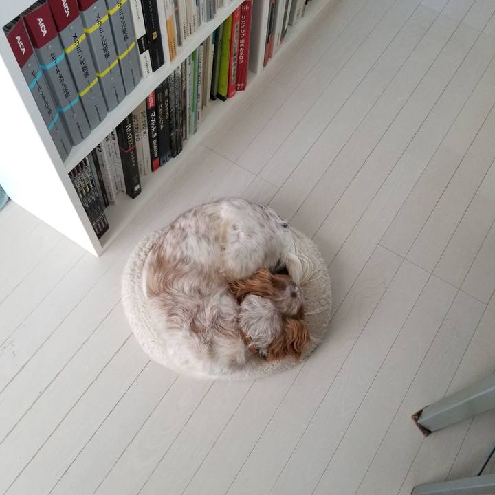 Db79c874 fbb6 4bb5 ae04 e6bdeee1d108 1611992721285