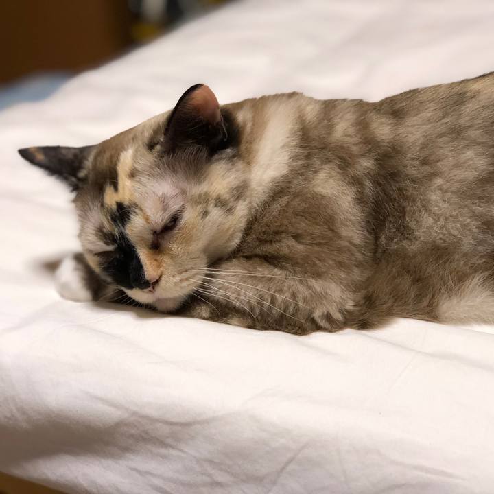 Db79d6d1 773a 4de0 9d68 b5b7016791c4 1688575173890