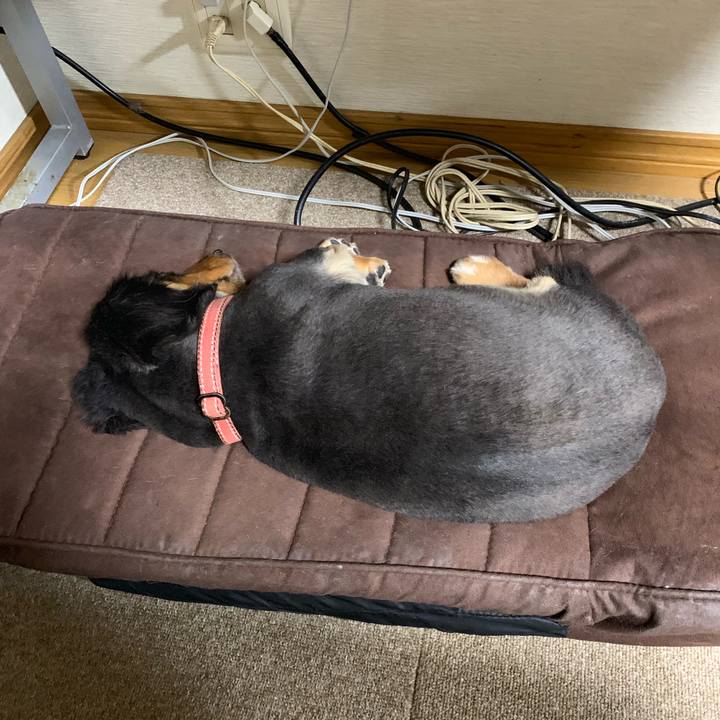 Db7a7f67 3f15 4df3 a887 d24f3901dc45 1571263846356