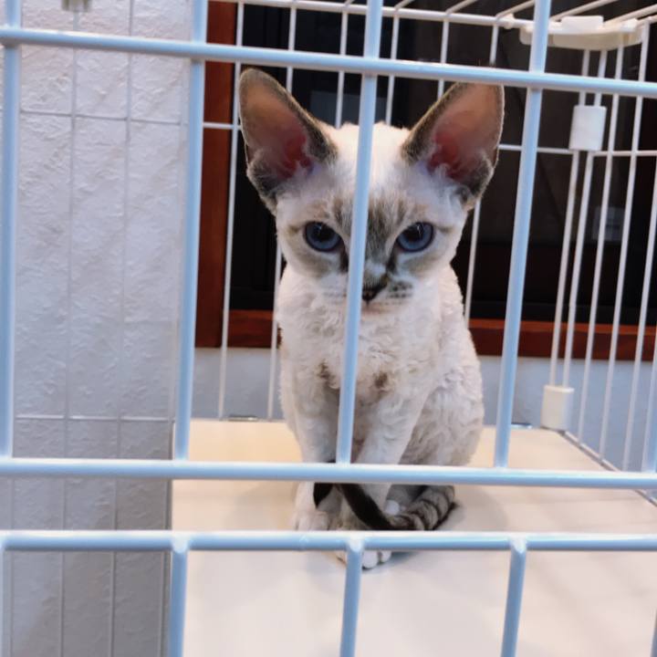 Db7a9bfa ac04 4e32 8187 8280baa454cc 1584356631833