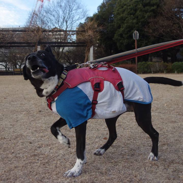 Db7ae403 48a0 458a a8a7 e64e2e77b5bc 1702866134907