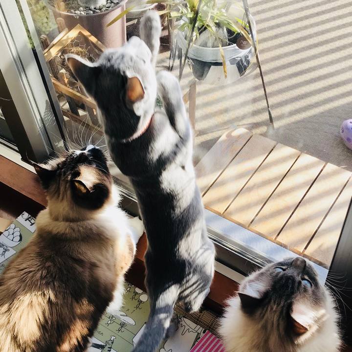 Db7b11df 6886 4e18 8d31 1381bd70f87d 1519519896426