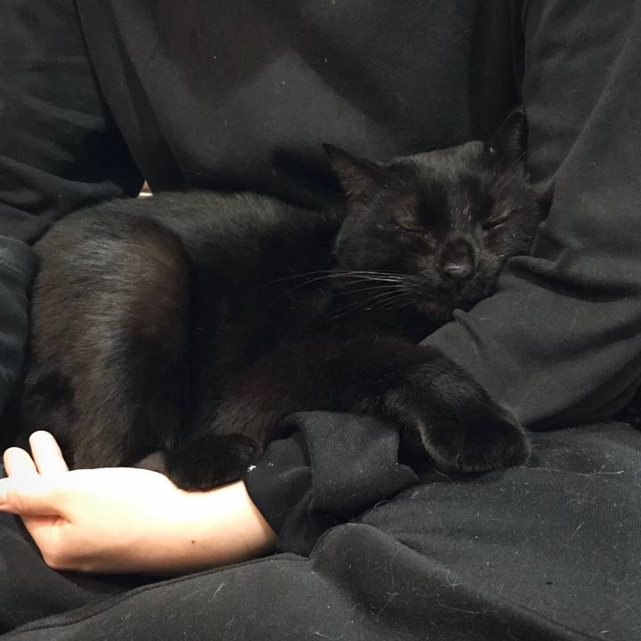 Db7b1a5d 07b0 4aa8 96d1 ec43718a05cc 1665762026158