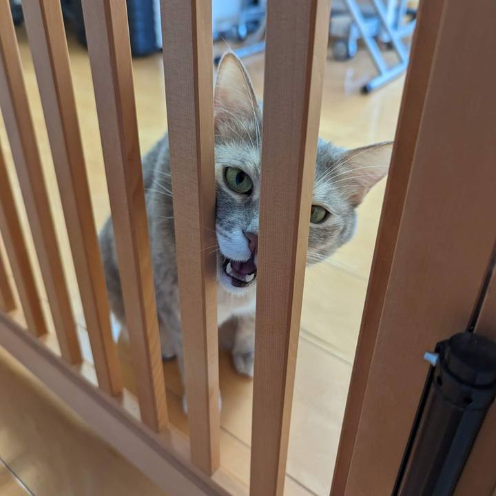 Db7b3077 5488 49bb 8cf8 43ade5b41074 1699935008887