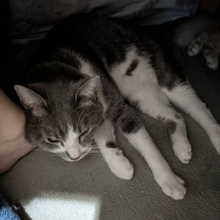 Db7b4a90 7e83 48dc 8b5d b3c71624beeb 1766059419882