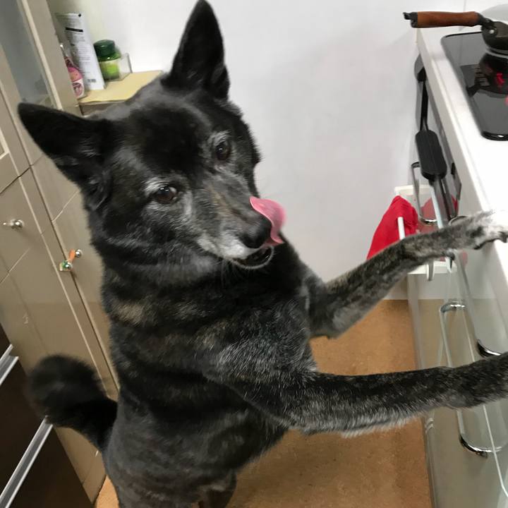 Db7b4b2d c988 4861 bdaa 1e0a8b7f3953 1513922545321