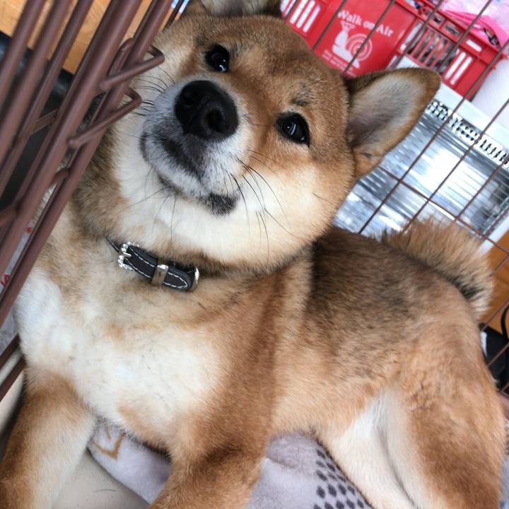 Db7bbca4 76f1 40bb b0d9 a89df9ca7c89 1519794660752