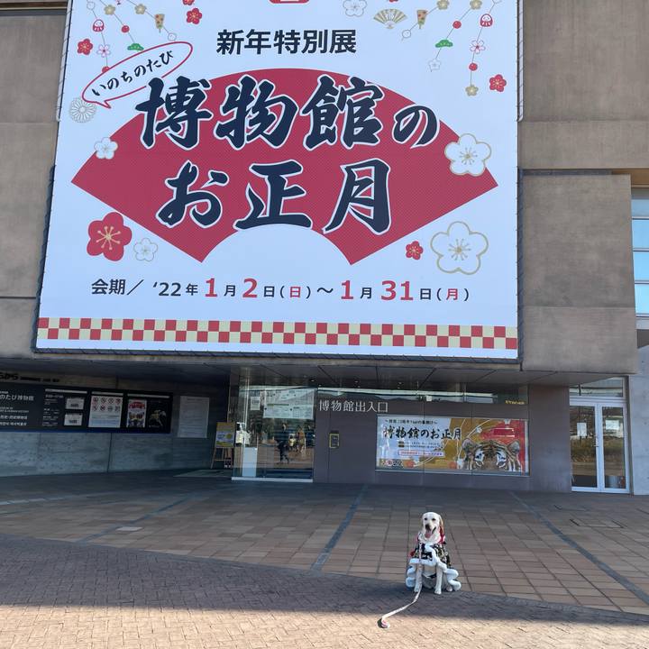 Db7bc61d a485 494a b38a c2da030c5214 1641537391247