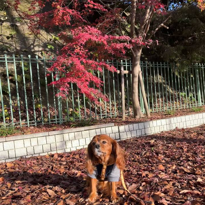 Db7bf779 20fd 46fd aadb c527cb4b191d 1670365899106