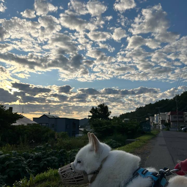 Db7c0fdc 1bf8 452b b6b5 b9b2e88351c3 1754859052996