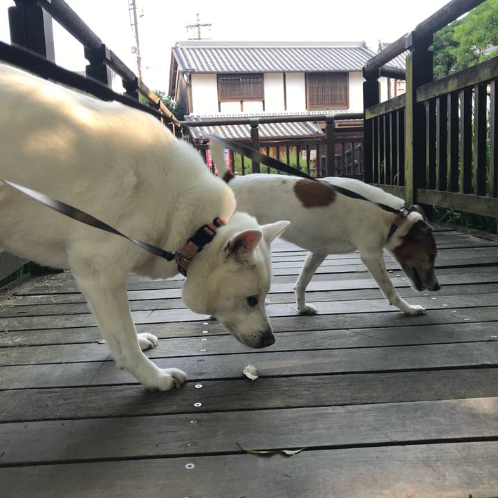 Db7c1cc1 6bc2 4006 a253 7b6b817f884b 1558826546166