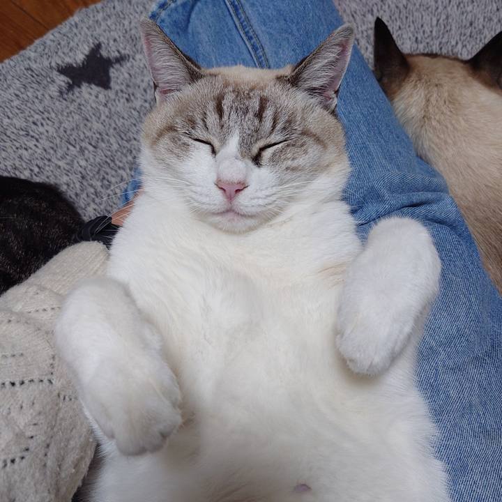 Db7c3c56 55d6 46f9 976e 0364f5ace9e6 1732098863764