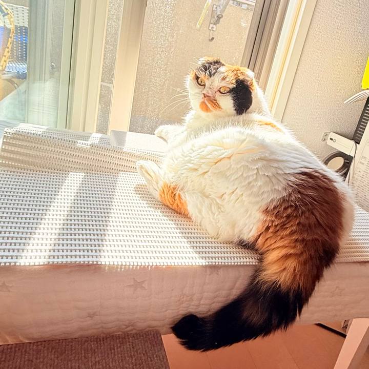 Db7c6966 1089 4173 9872 b5098613b955 1759467953294