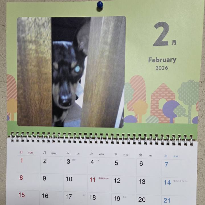 Db7c92cc a910 4626 a442 032b21a1fff6 1769907625923