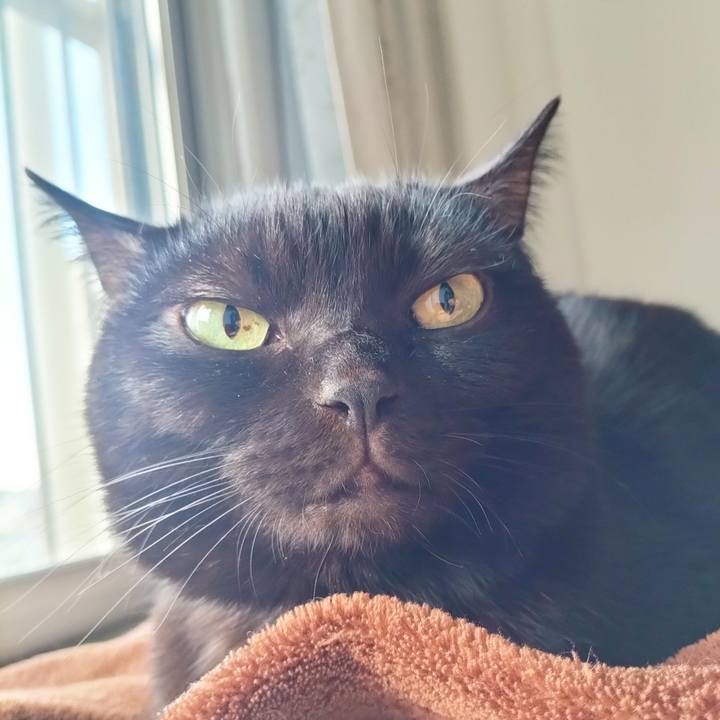 Db7cb841 2b4e 40cb aa7c 6f20016ae4e7 1699829941397