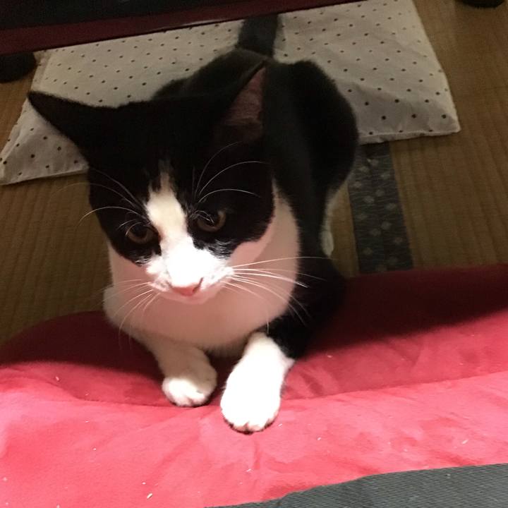 Db7cea25 6c34 49bc bd08 113aefaf9f26 1656682972388